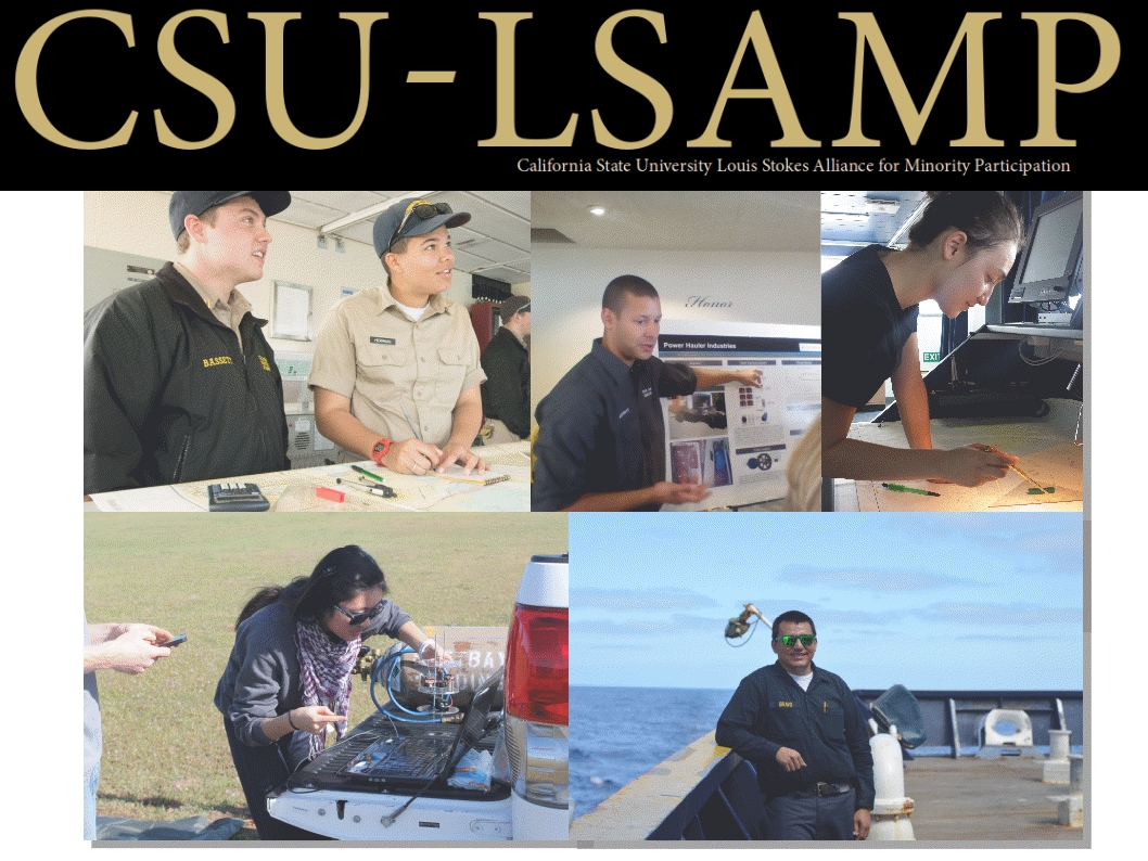 collage of LSAMP students
