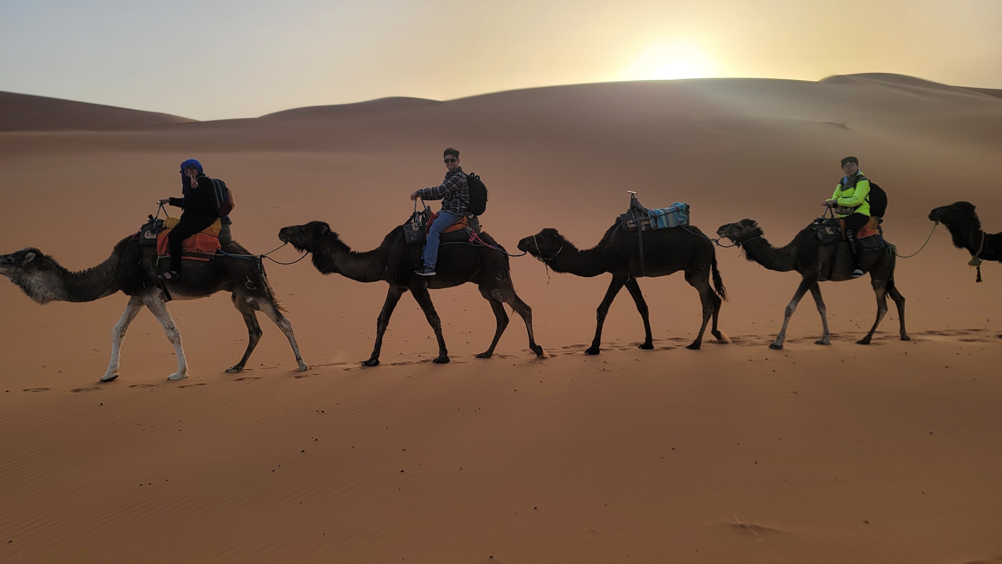 Sahara Desert camel ride